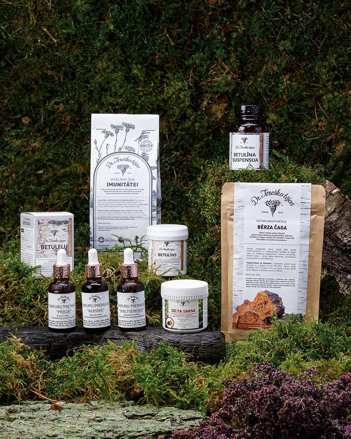 Dr. Tereško product family — tinctures, jars, teas and the betulin extract arranged on a forest moss floor