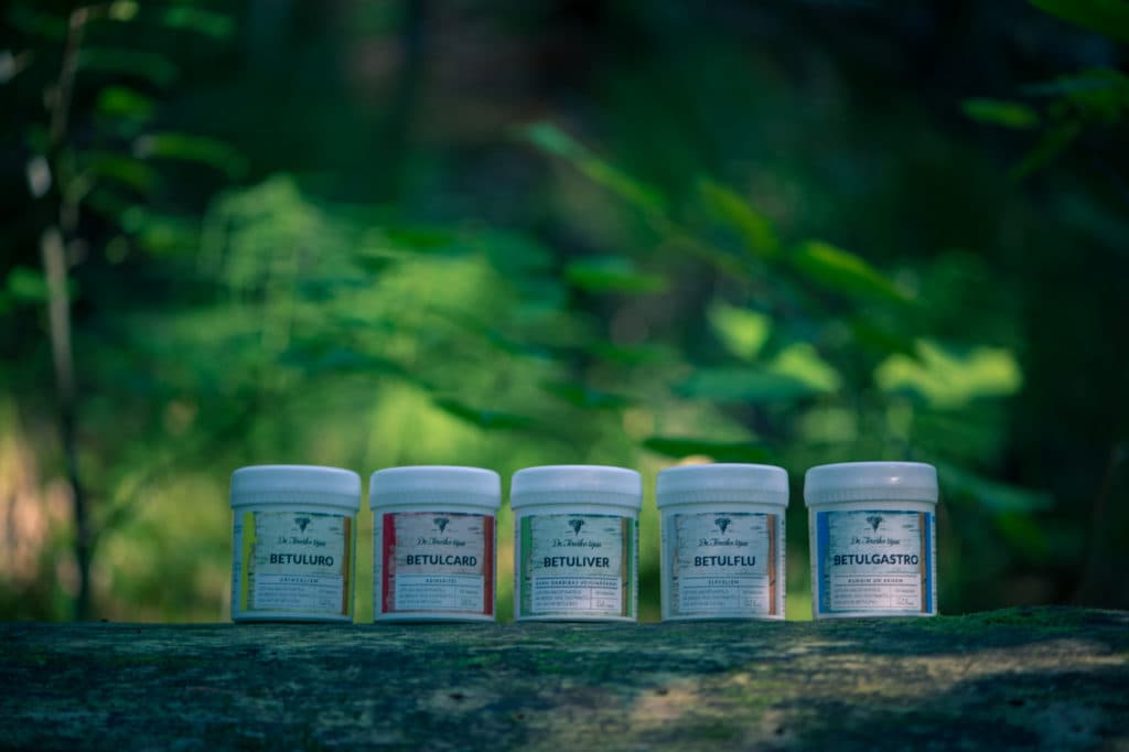 Food supplements containing birch bark extract – betulin