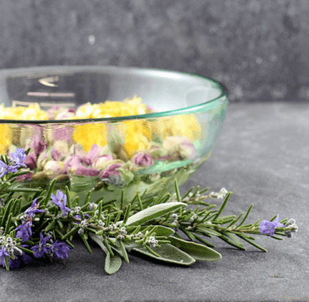 Phytotherapy – herbal treatments to improve health